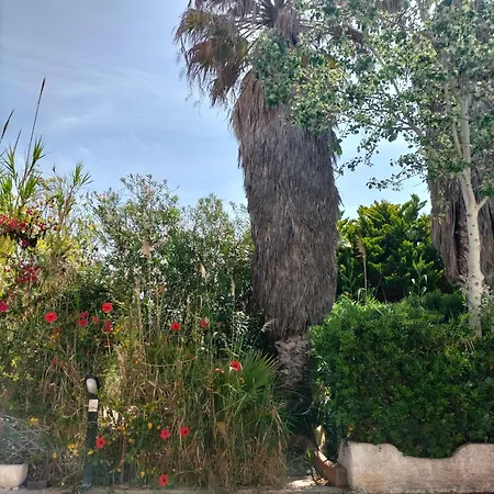 Cala Di Seta Sul Mare *